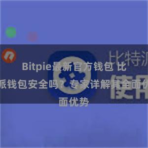 Bitpie最新官方钱包 比特派钱包安全吗？专家详解其全面优势