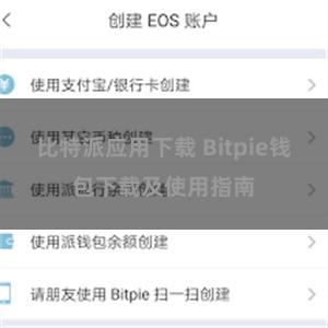 比特派应用下载 Bitpie钱包下载及使用指南