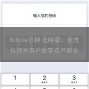 Bitpie币种 比特派：全方位保护用户数字资产安全