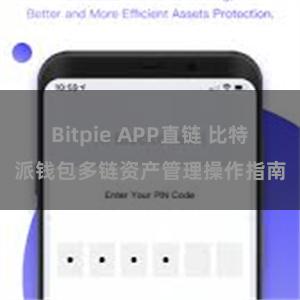 Bitpie APP直链 比特派钱包多链资产管理操作指南