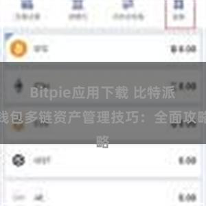 Bitpie应用下载 比特派钱包多链资产管理技巧：全面攻略