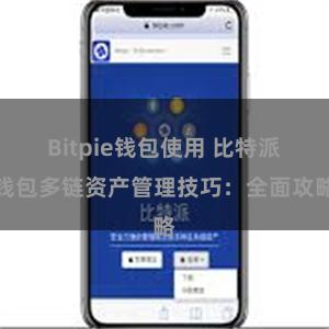 Bitpie钱包使用 比特派钱包多链资产管理技巧：全面攻略