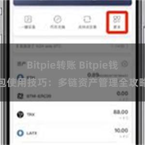 Bitpie转账 Bitpie钱包使用技巧：多链资产管理全攻略