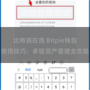 比特派在线 Bitpie钱包使用技巧：多链资产管理全攻略