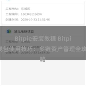 Bitpie安装教程 Bitpie钱包使用技巧：多链资产管理全攻略