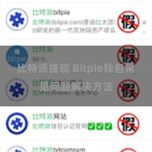 比特派提现 Bitpie钱包常见问题解决方法
