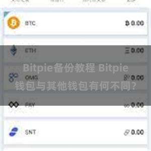 Bitpie备份教程 Bitpie钱包与其他钱包有何不同？