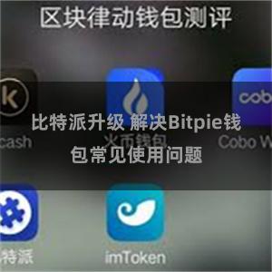 比特派升级 解决Bitpie钱包常见使用问题