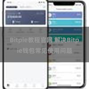 Bitpie教程官网 解决Bitpie钱包常见使用问题