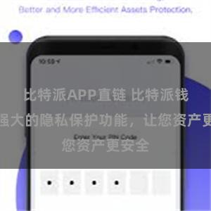 比特派APP直链 比特派钱包：强大的隐私保护功能，让您资产更安全