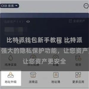 比特派钱包新手教程 比特派钱包：强大的隐私保护功能，让您资产更安全