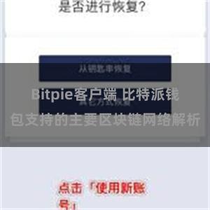 Bitpie客户端 比特派钱包支持的主要区块链网络解析