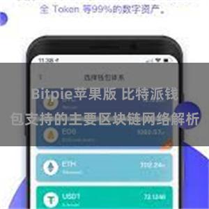 Bitpie苹果版 比特派钱包支持的主要区块链网络解析