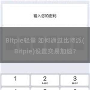 Bitpie轻量 如何通过比特派(Bitpie)设置交易加速？