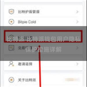 比特派 比特派钱包用户隐私保护措施详解