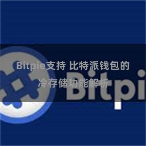 Bitpie支持 比特派钱包的冷存储功能解析