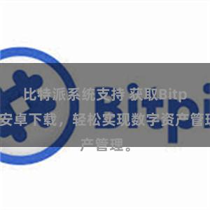 比特派系统支持 获取Bitpie安卓下载，轻松实现数字资产管理。