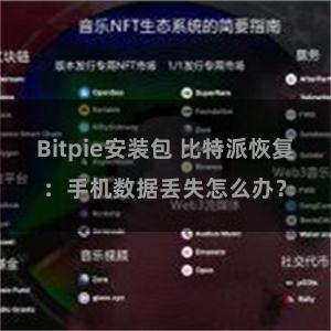 Bitpie安装包 比特派恢复：手机数据丢失怎么办？
