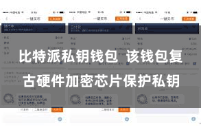 比特派私钥钱包  该钱包复古硬件加密芯片保护私钥