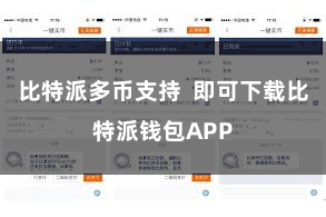 比特派多币支持  即可下载比特派钱包APP