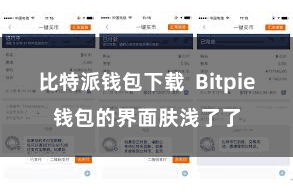 比特派钱包下载  Bitpie钱包的界面肤浅了了